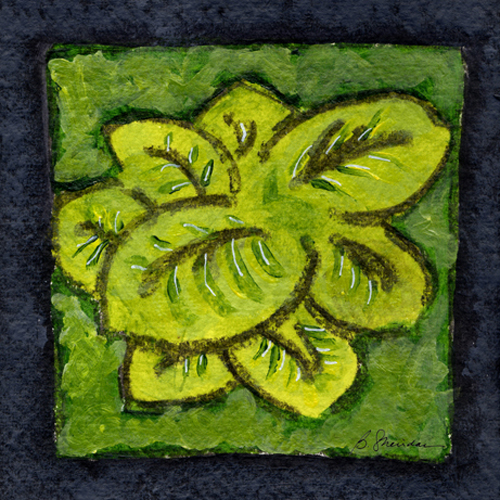 Apple Green Hosta