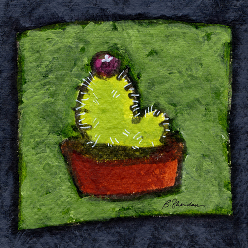 Furry Cactus