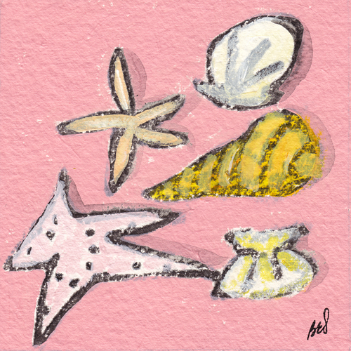 Seashells