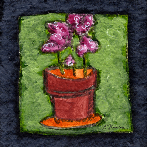 Hot Pink Geraniums