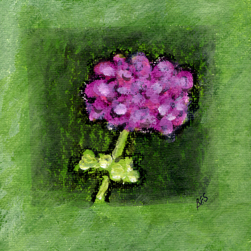 Hydrangea Blossom