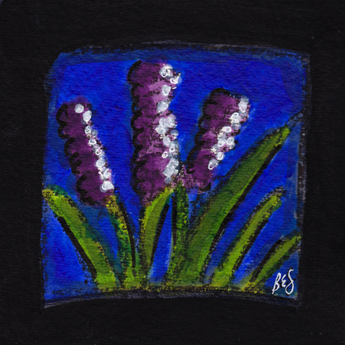 Purple Lupines