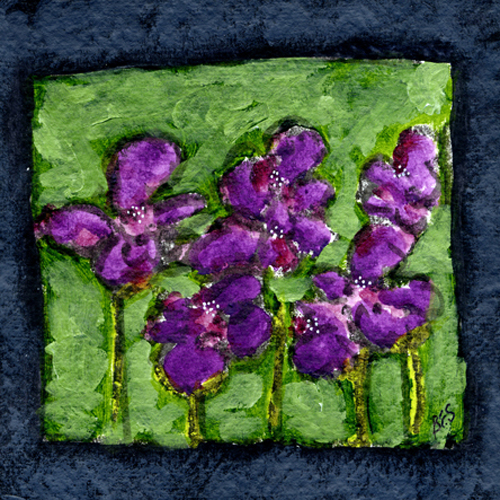 Purple Pansies