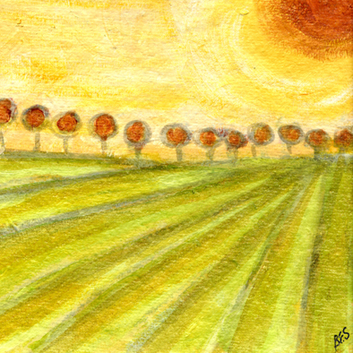 Field Sunrise
