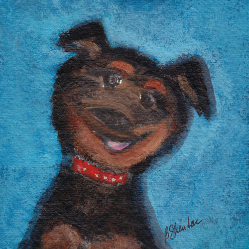 Cute Rottweiler