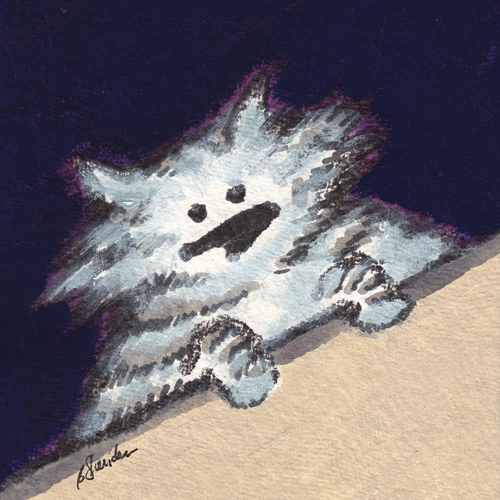Fat Tabby