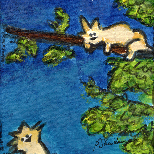 Kitty in a Tree