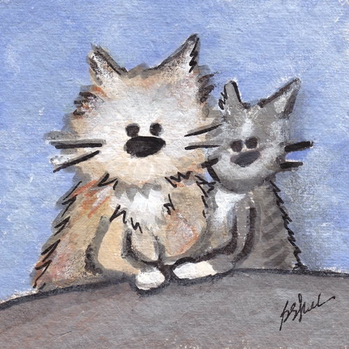 Kitty Portrait Studio