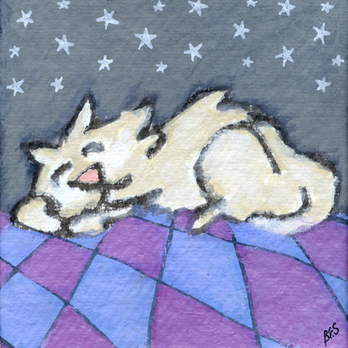 Kitty Starry Night