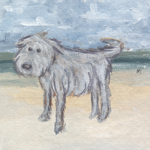 Beachcomber