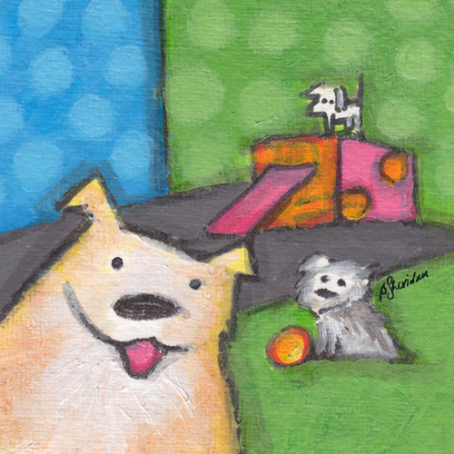 Little Dogs, Lots of Fun