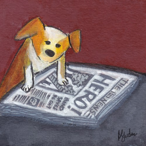 News Hound