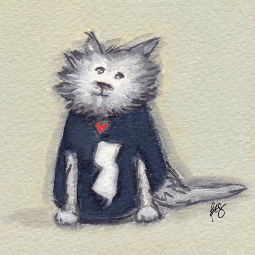 Jersey Kitty
